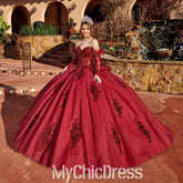 Dark Red Vestidos De 15 Anos Quinceanera Dresses with Sleeve Feather Mychicdress