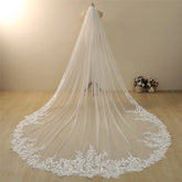 Vintage Lace Trim Cathedral Bridal Wedding Veil