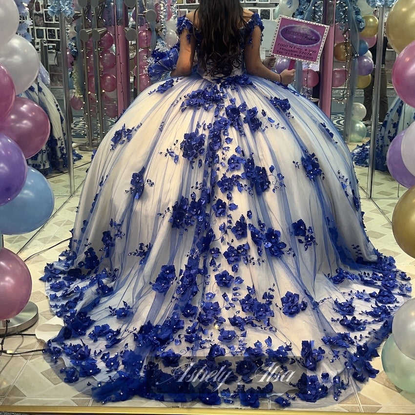 Princess Royal Blue Vestidos De 15 Quinceanera Dresses 3D Floral Crystals - MyChicDress
