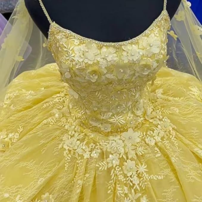 Ball Gown Yellow Quinceanera Dress Tulle Applique with Shawl