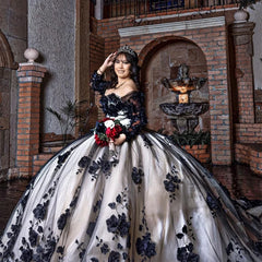 Black Long Sleeves Quinceanera Dress Corset 3D Flowers Beading Crystal