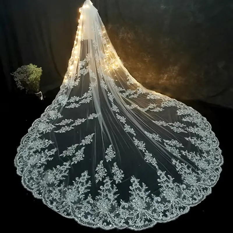 Luxury Lace Cathedral Wedding Veils With Comb Long Bridal Veil Applique