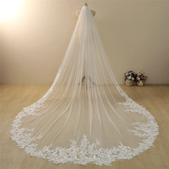 Vintage Lace Trim Cathedral Bridal Wedding Veil