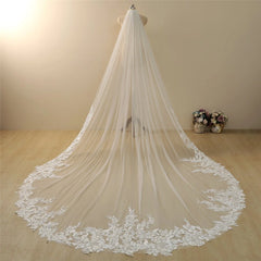 Vintage Lace Trim Cathedral Bridal Wedding Veil