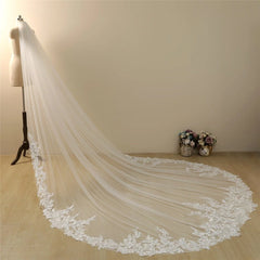 Vintage Lace Trim Cathedral Bridal Wedding Veil