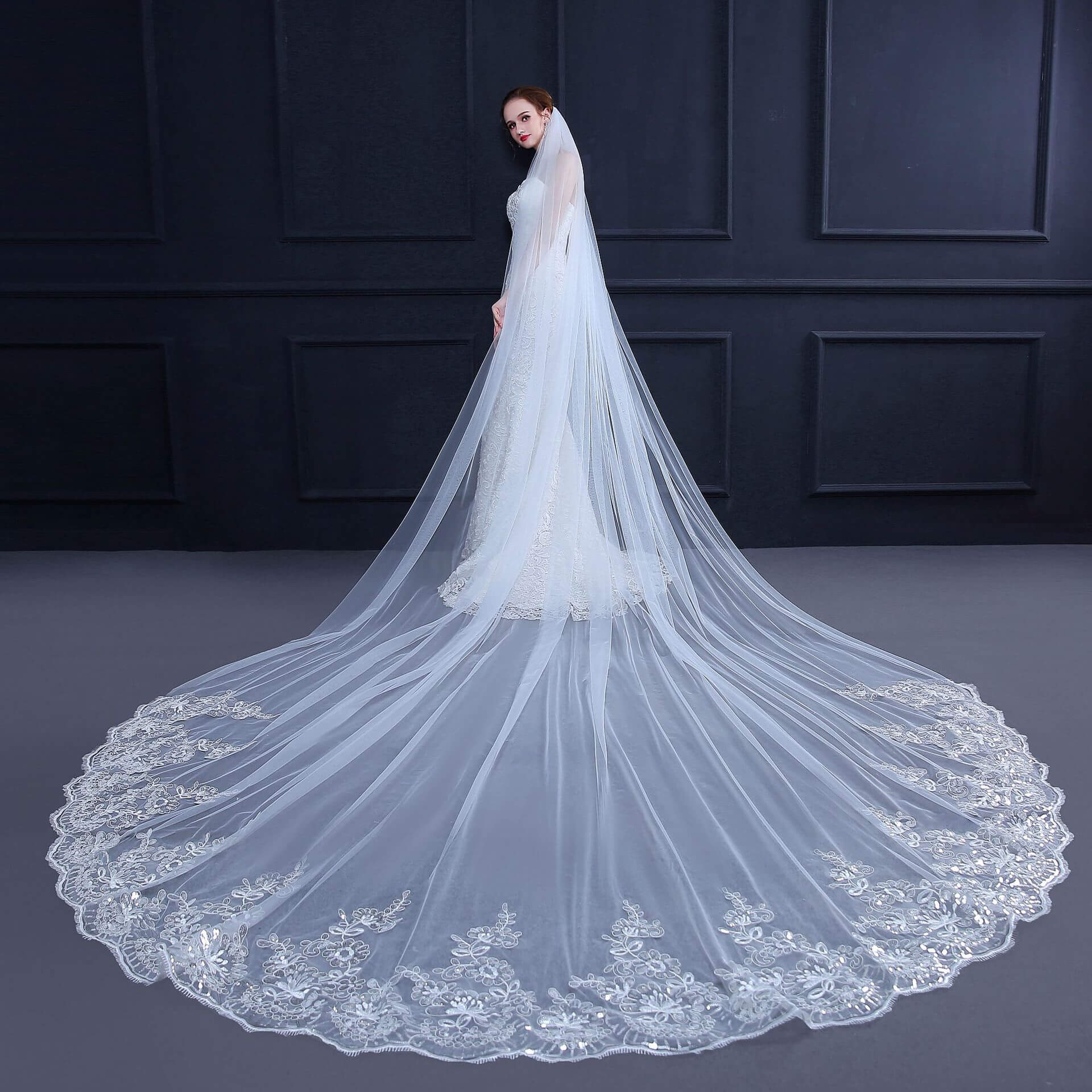 Hot Tulle Lace Applique Edge Cheap Wedding Veil with Sequined 3MX3M MyChicDress